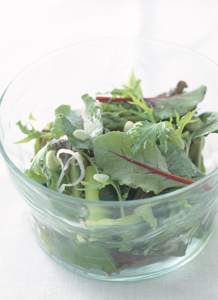 グリーンサラダ　ねぎドレッシング